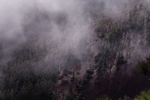 Free Aerial view of a fog-covered forested mountain slope, creating a mysterious ambiance. Stock Photo