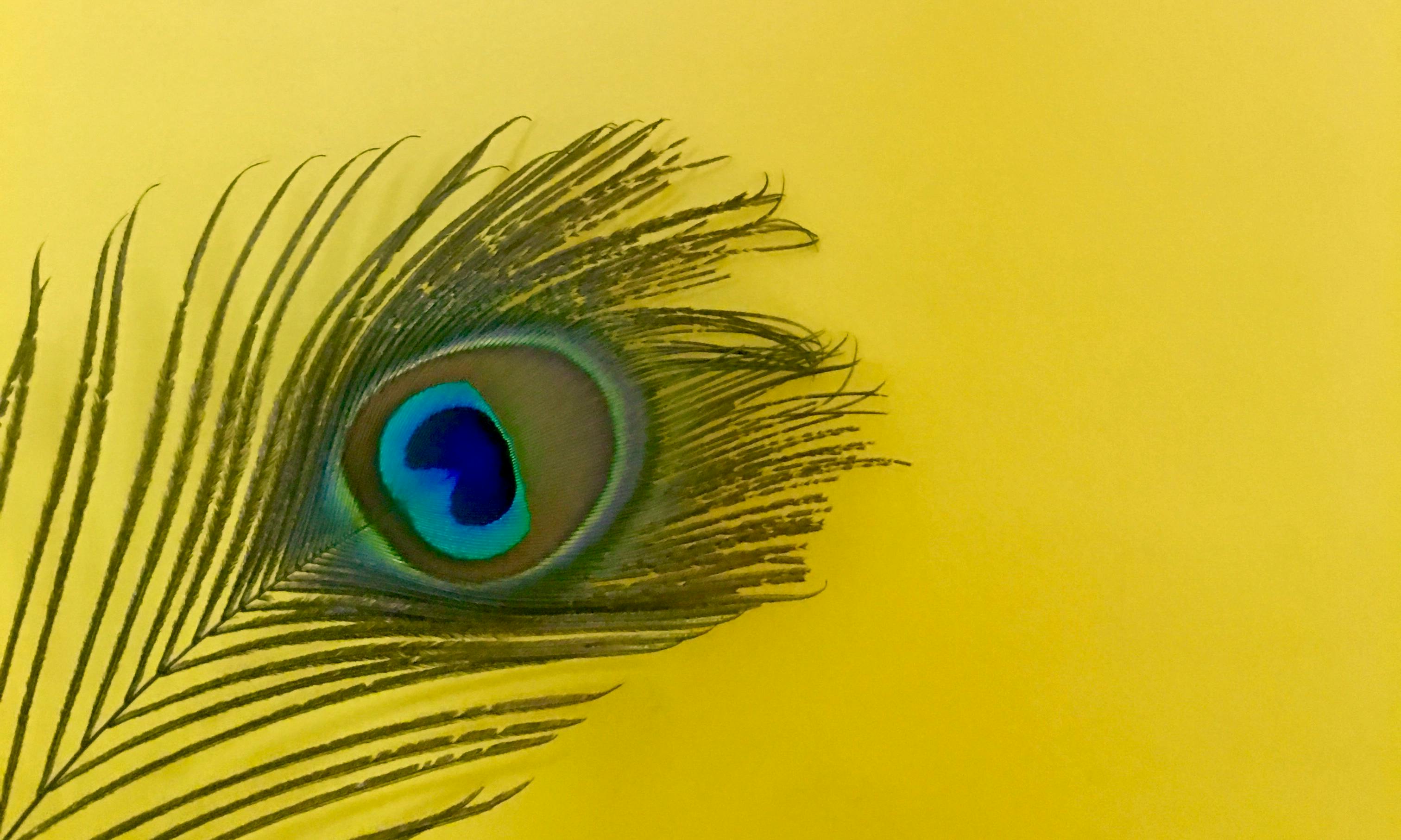 Tribunes et supporters dans un stade rénové