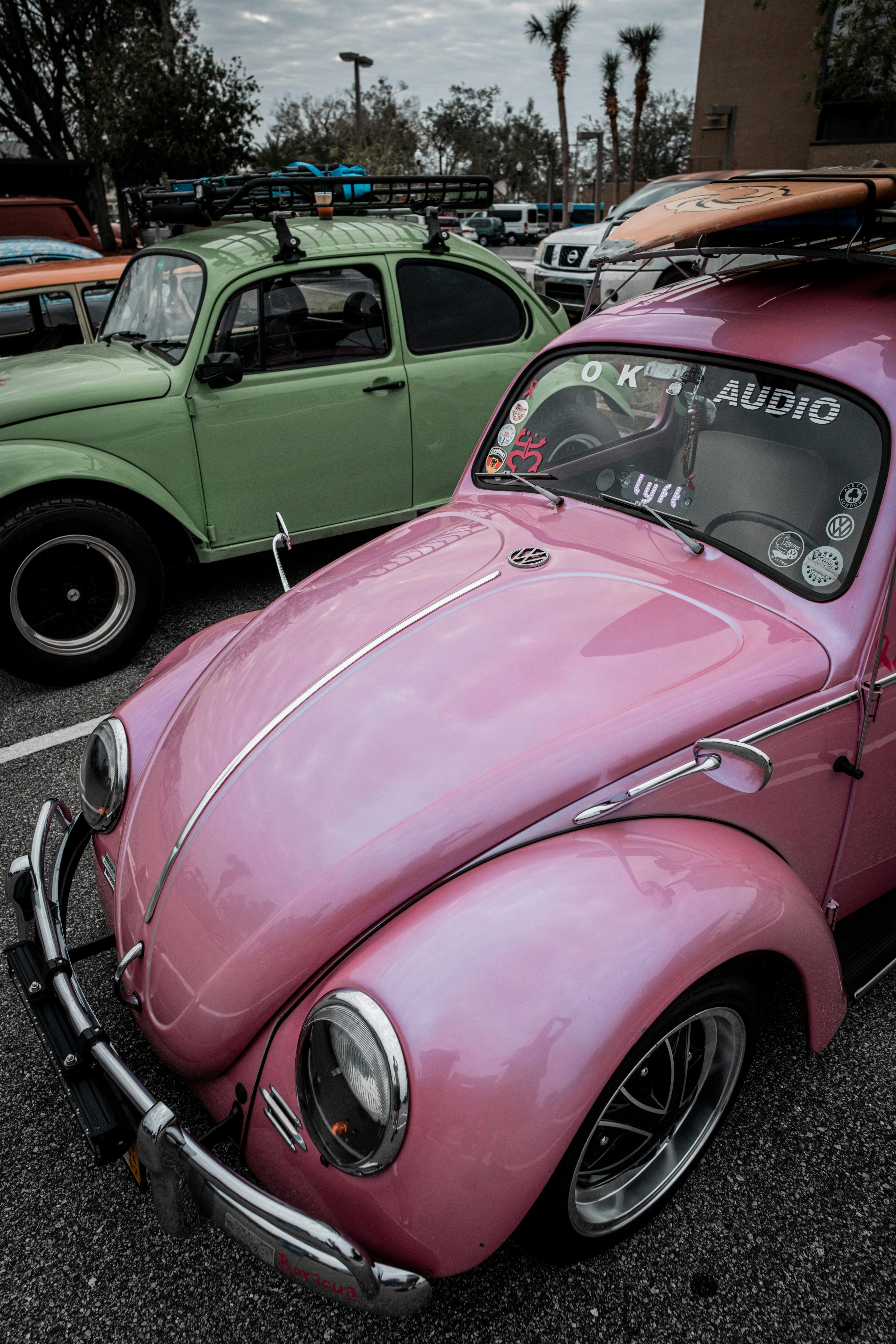 Photo of Volkswagen Beetles · Free Stock Photo