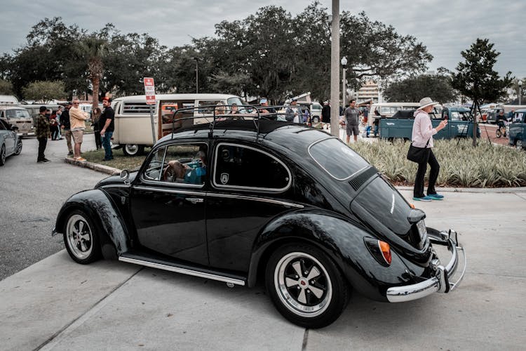 Black Restored Volkswagen Beetle Type 1 With A Roof Rack Entering The VW Car Show