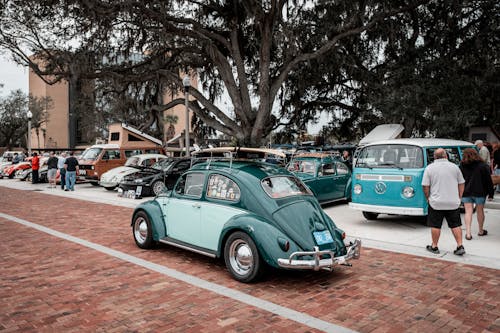 Бесплатное стоковое фото с volkswagen, Volkswagen Beetle, автомобили