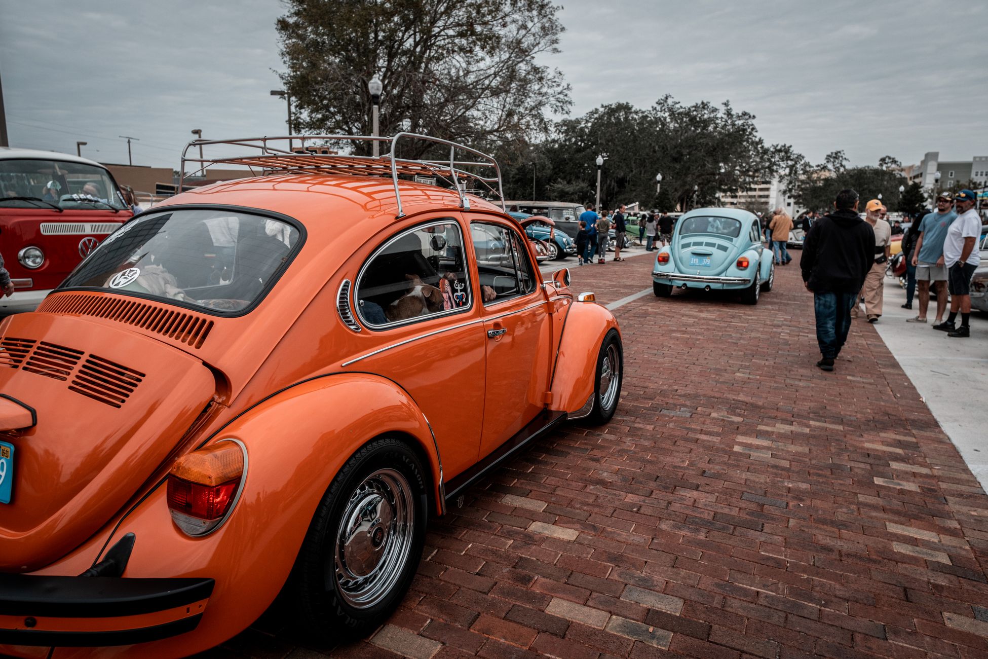 Volkswagen Kever-liefhebbers uit drie landen komen naar Wanroij