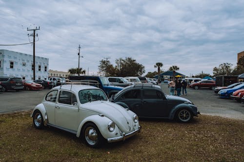 Volkswagen Beetles on a Parking Lot at a Car Meet 