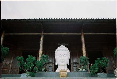 Buddha Head Statue at Temple