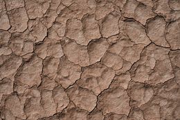 Arid landscape frame by Alfo Medeiros on Pexels