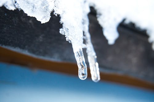 Free stock photo of cold, drop, frosted