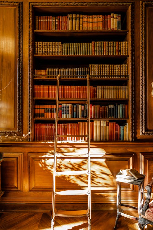 View of a Ladder Standing next to a Bookshelf in an Old Library 