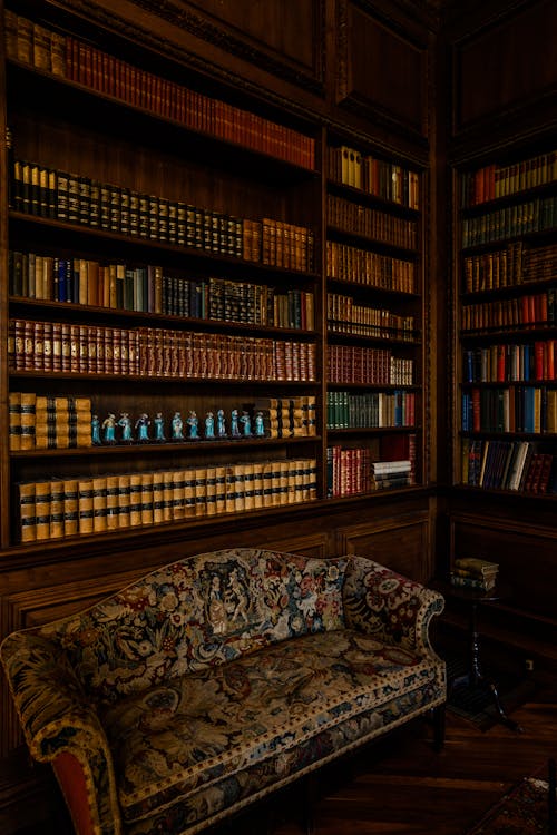 Books on Shelves behind Couch