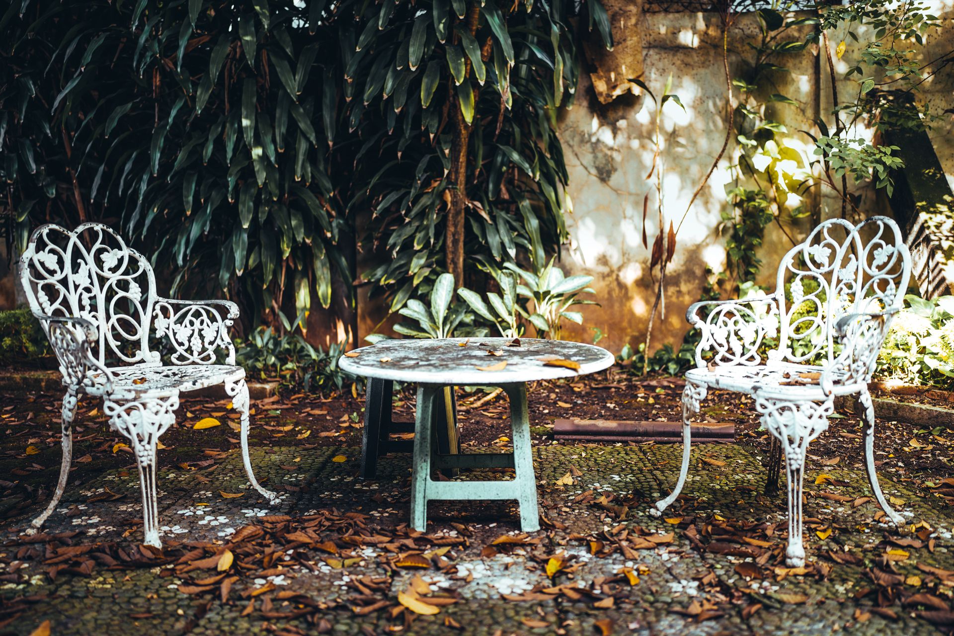 Vintage cast iron chairs and table in a serene garden with lush foliage, ideal for relaxation.