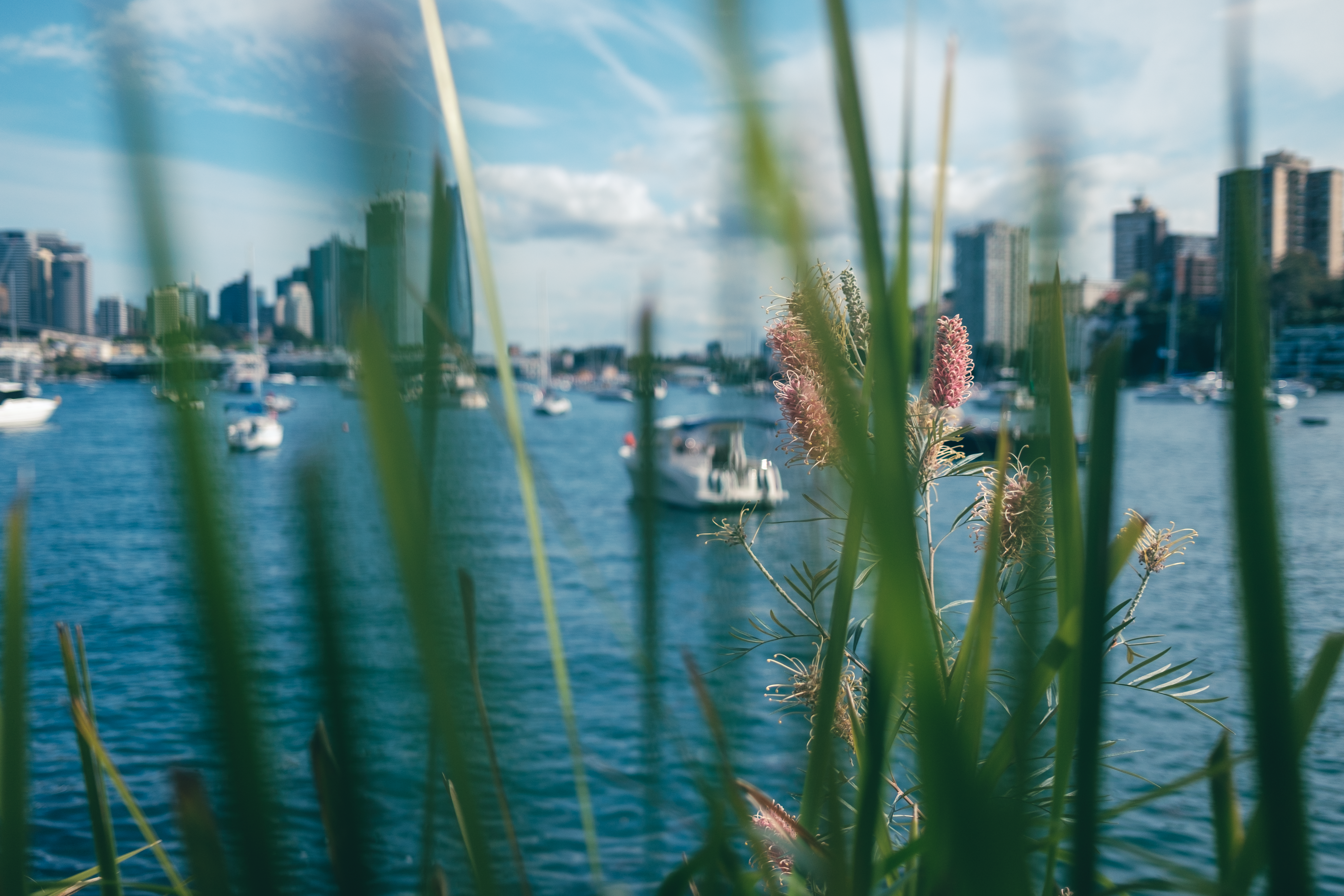 Motorboats on Lake in City · Free Stock Photo