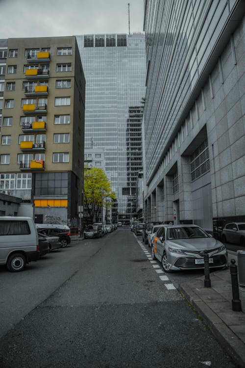 Бесплатное стоковое фото с автомобили, вертикальный выстрел, город