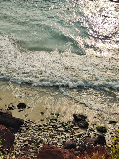 Foto profissional grátis de beira-mar, litoral, natureza