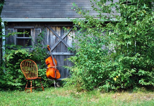 Violin Leaning on Wooden Cottage