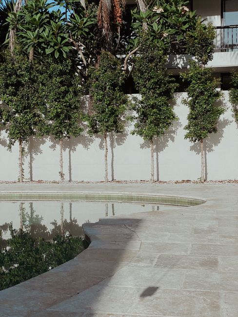Tranquil outdoor pool area with trees and sunlight in Neutral Bay, Australia.