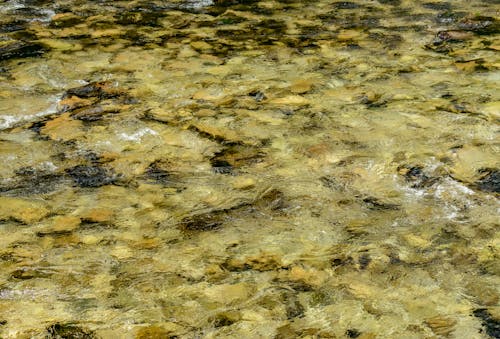 Surface of a River