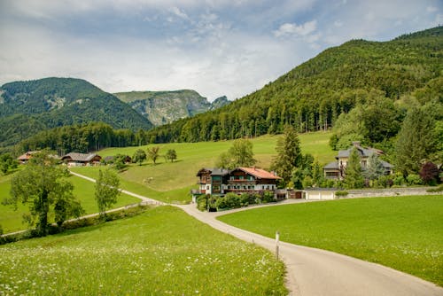 Footpath and Huts in Green Scenic Mountains