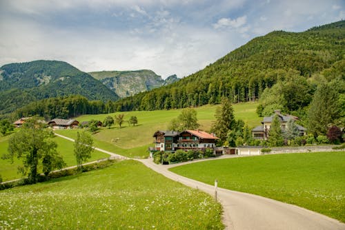 Immagine gratuita di capanne, estate, foresta