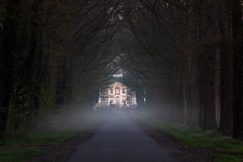 Základová fotografie zdarma na téma hrad, jízdní pruh, mlha