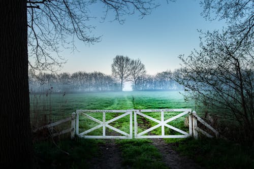 Free stock photo of fence, fog, golden hour