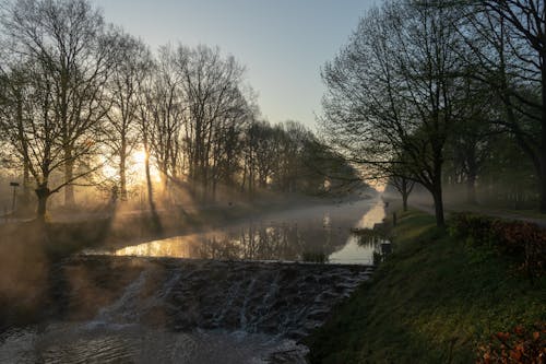 Free stock photo of canal, fog, golden hour