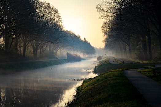 黎明时分，运河宁静，薄雾、树木与幽静的小路，共同营造出秋日的静谧氛围
