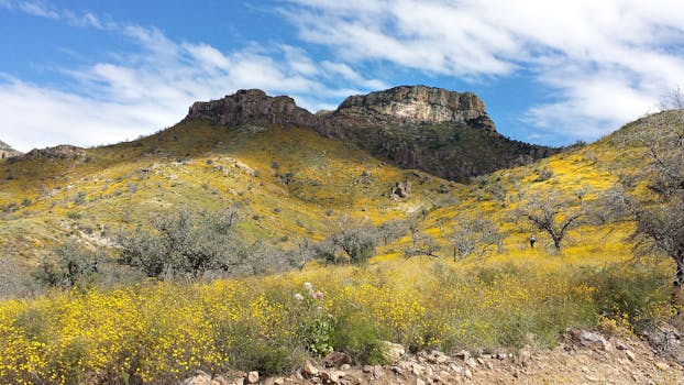 Kostenloses Foto zum Thema: berg, draußen, felsen