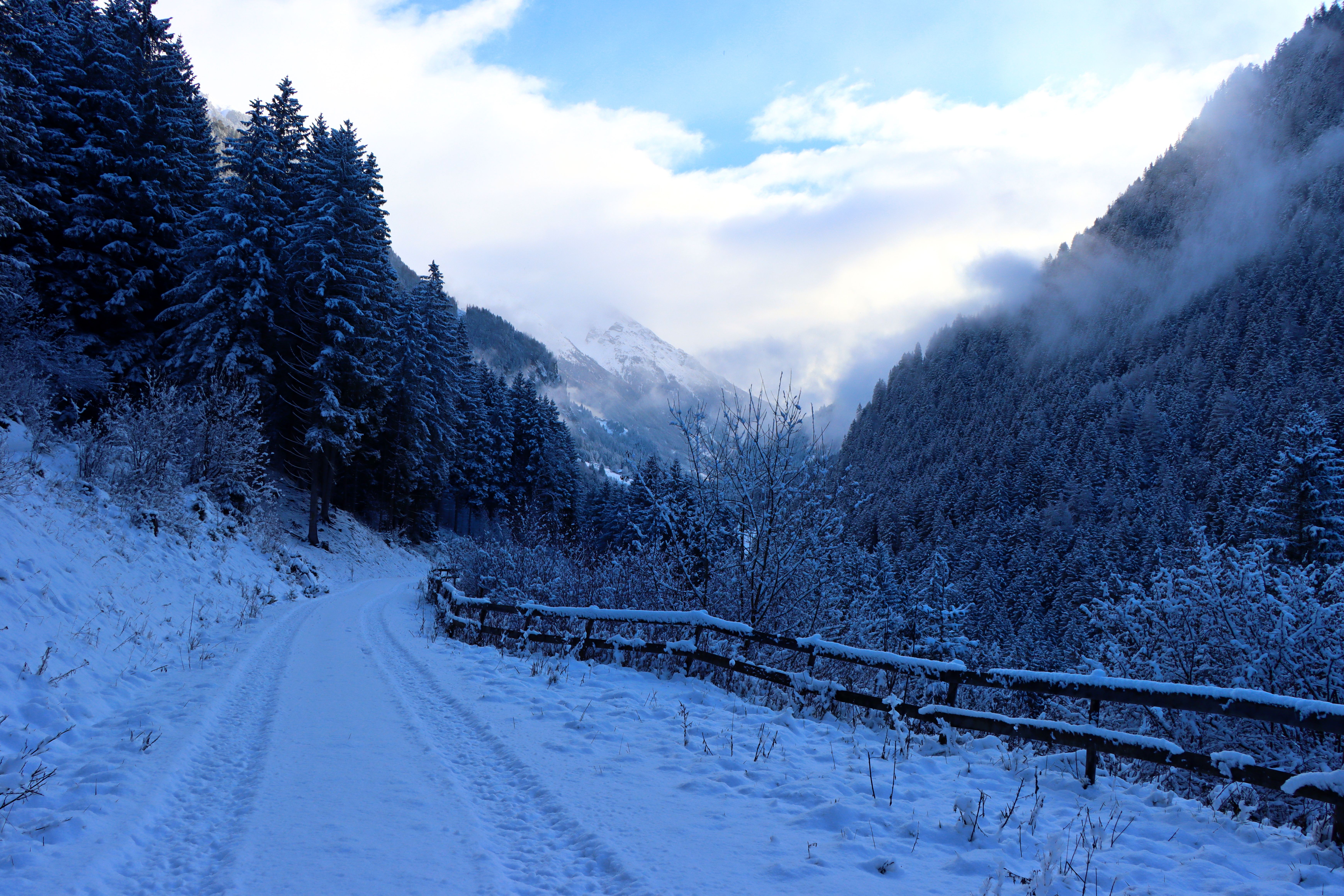 A Snow Covered Road in the Countryside · Free Stock Photo