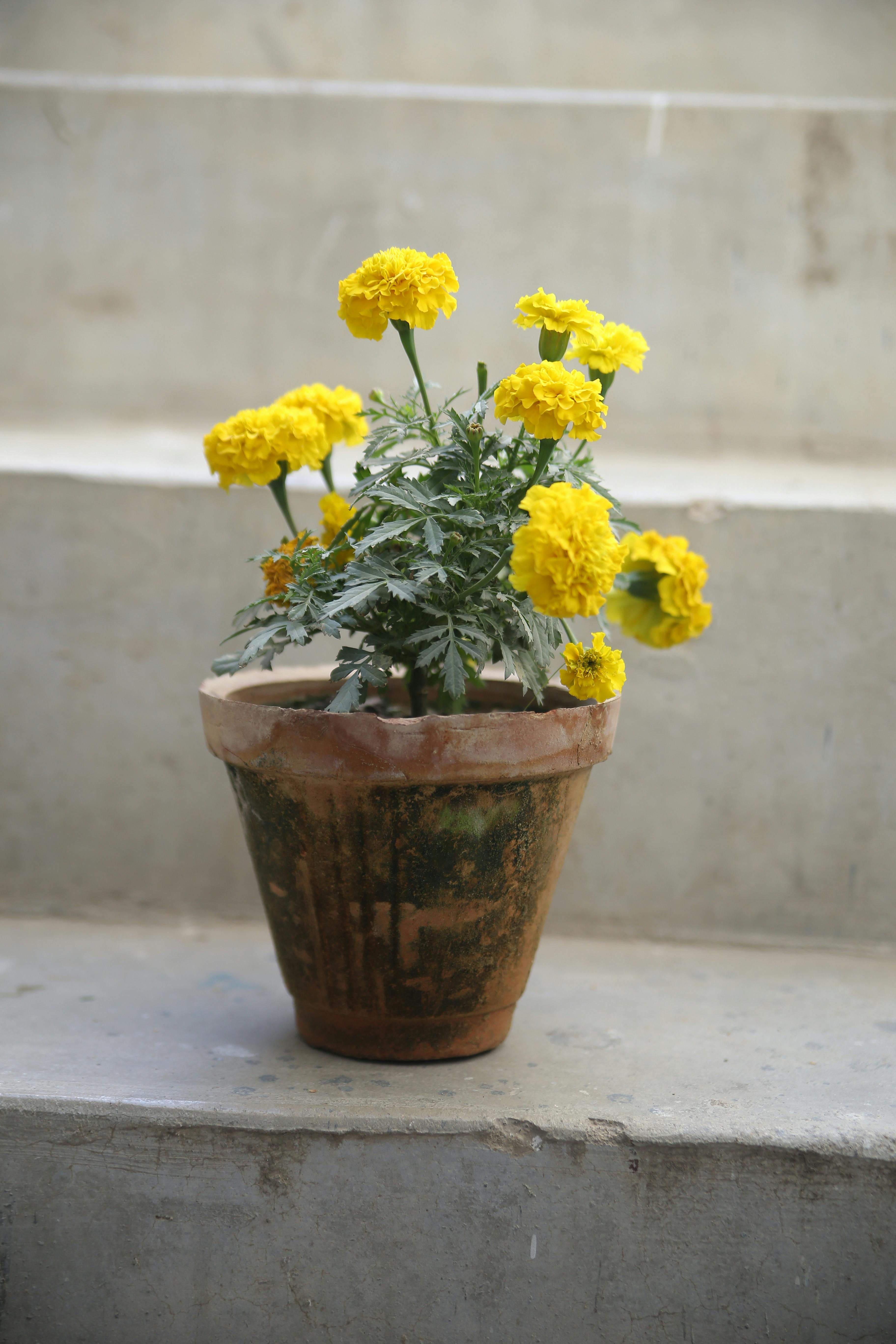 synonymous-synonym-photos-download-the-best-free-synonymous-synonym