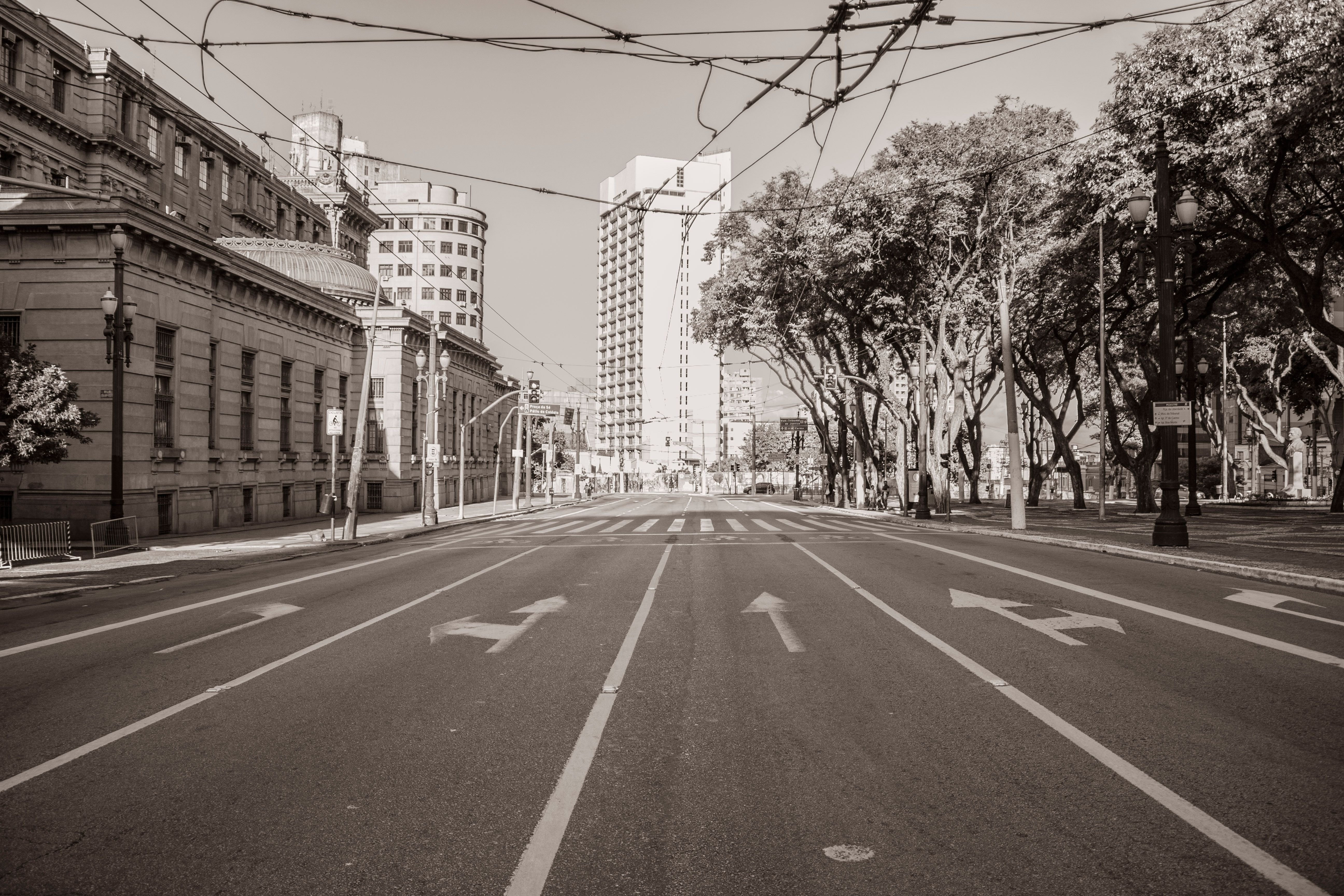 Street in City in Black and White · Free Stock Photo