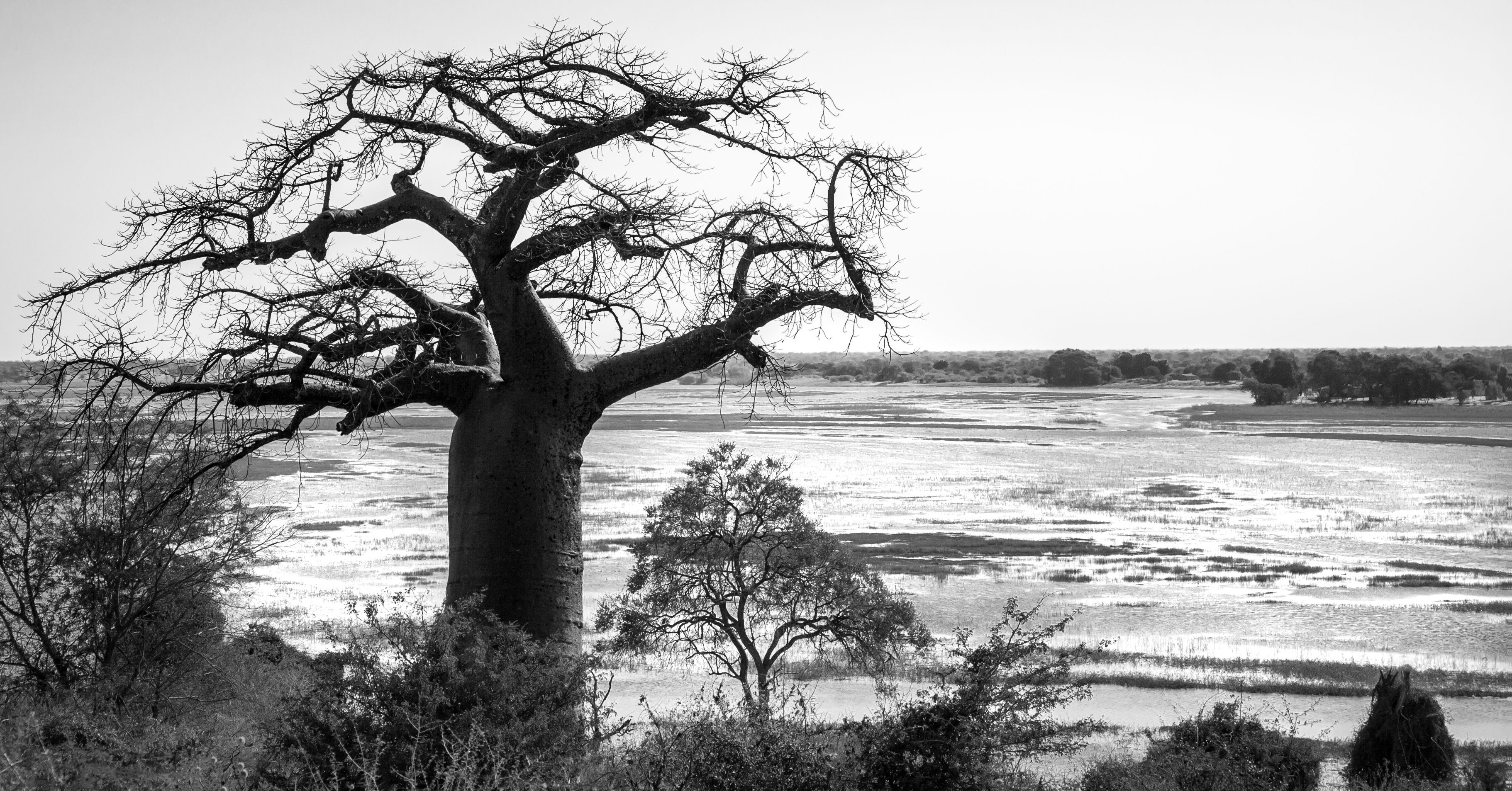 Guante Invierno
