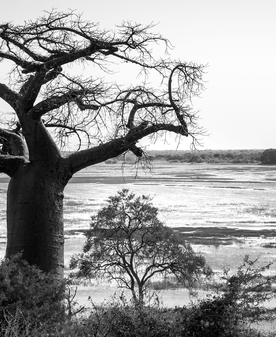 Guante Invierno