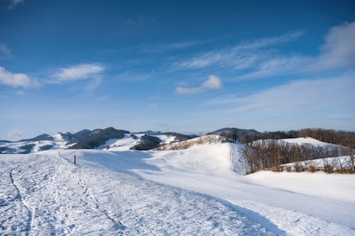 Kostenloses Stock Foto zu berg, blauer himmel, jahreszeit