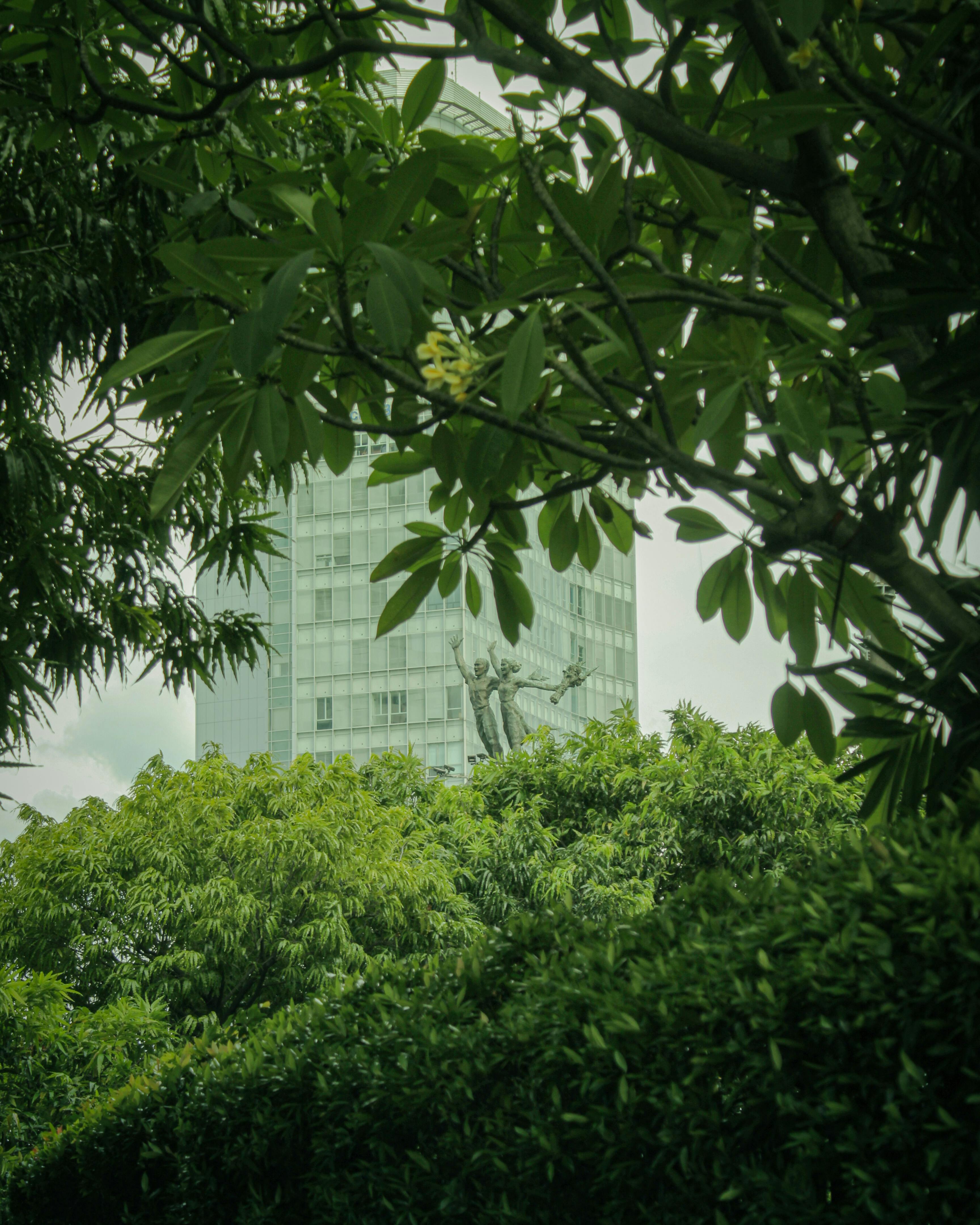 green leaves in jakarta