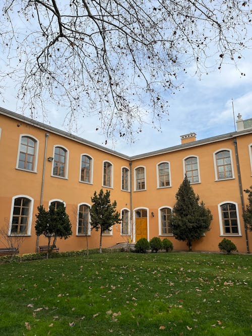 Foto d'estoc gratuïta de arbres, branques, campus universitari