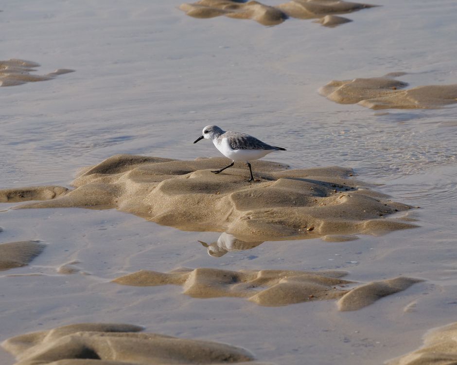 Gibraltar Point NNR — view 2