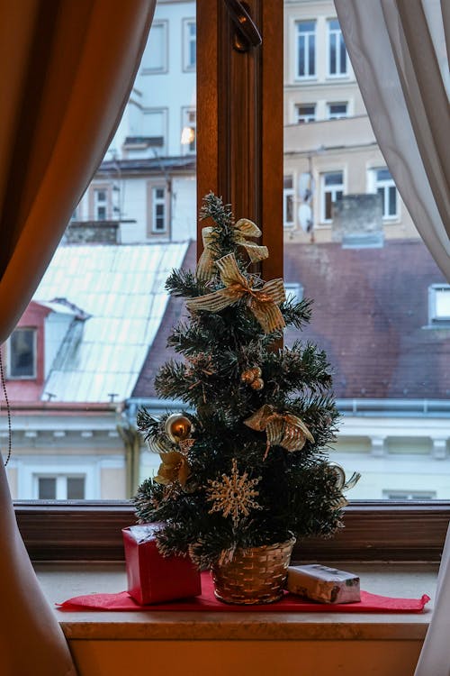 De franc Foto d'estoc gratuïta de adorn nadalenc, ampit de la finestra, arbre de Nadal Foto d'estoc