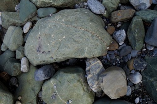 Free Close-up of diverse rocks showcasing natural textures and colors. Stock Photo