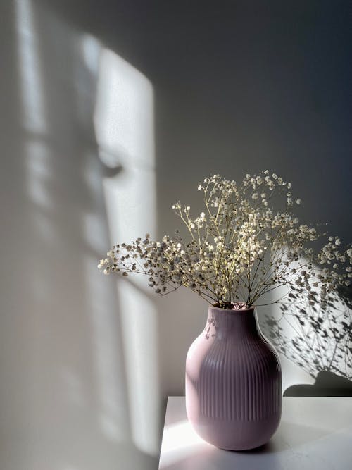 A Vase with Babys Breath Flowers Standing near a Wall in Sunlight 