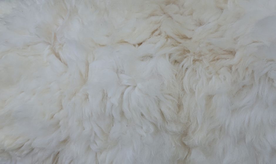 Gewassen wol vloerkleed met zomerse decoraties. Gewassen wol vloerkleed met zomerse decoraties.