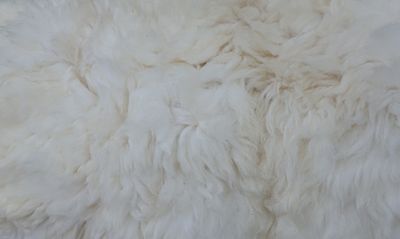 Soft white wool fleece &mdash; photo by Magda Ehlers on Pexels