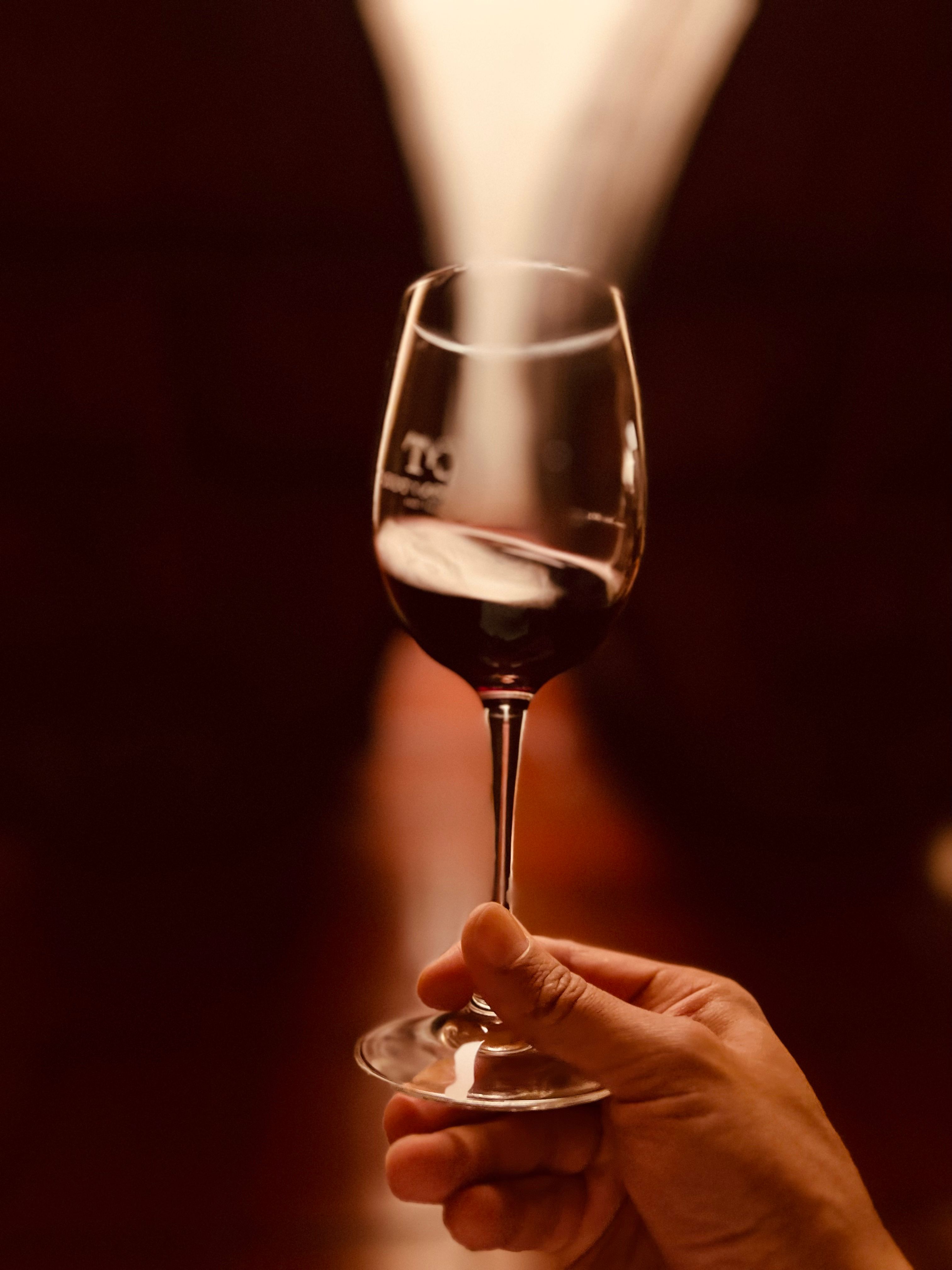 Hand Holding Glass with Drink · Free Stock Photo