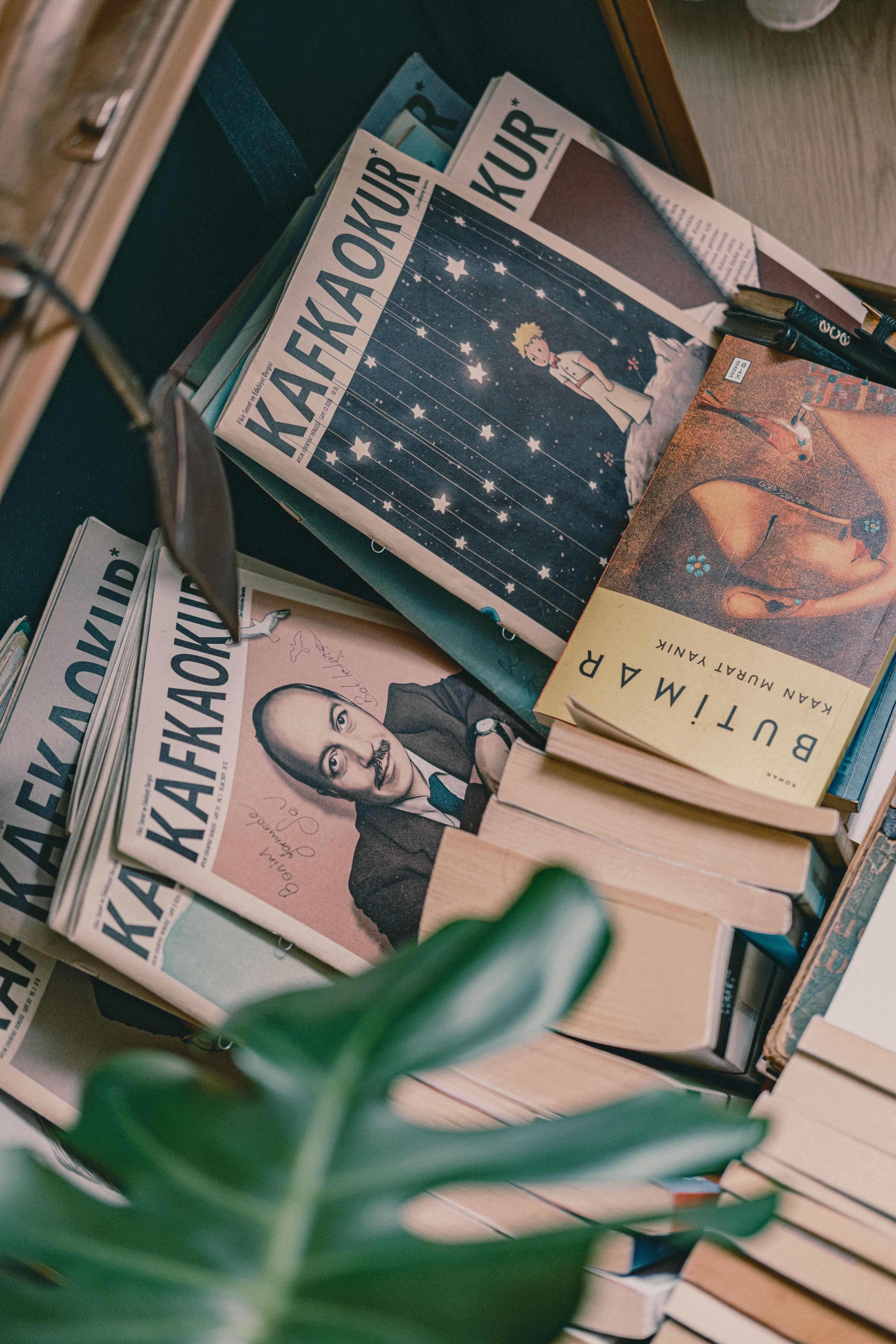 A top-down view of vintage literature books on a wooden surface with a plant leaf in the foreground.