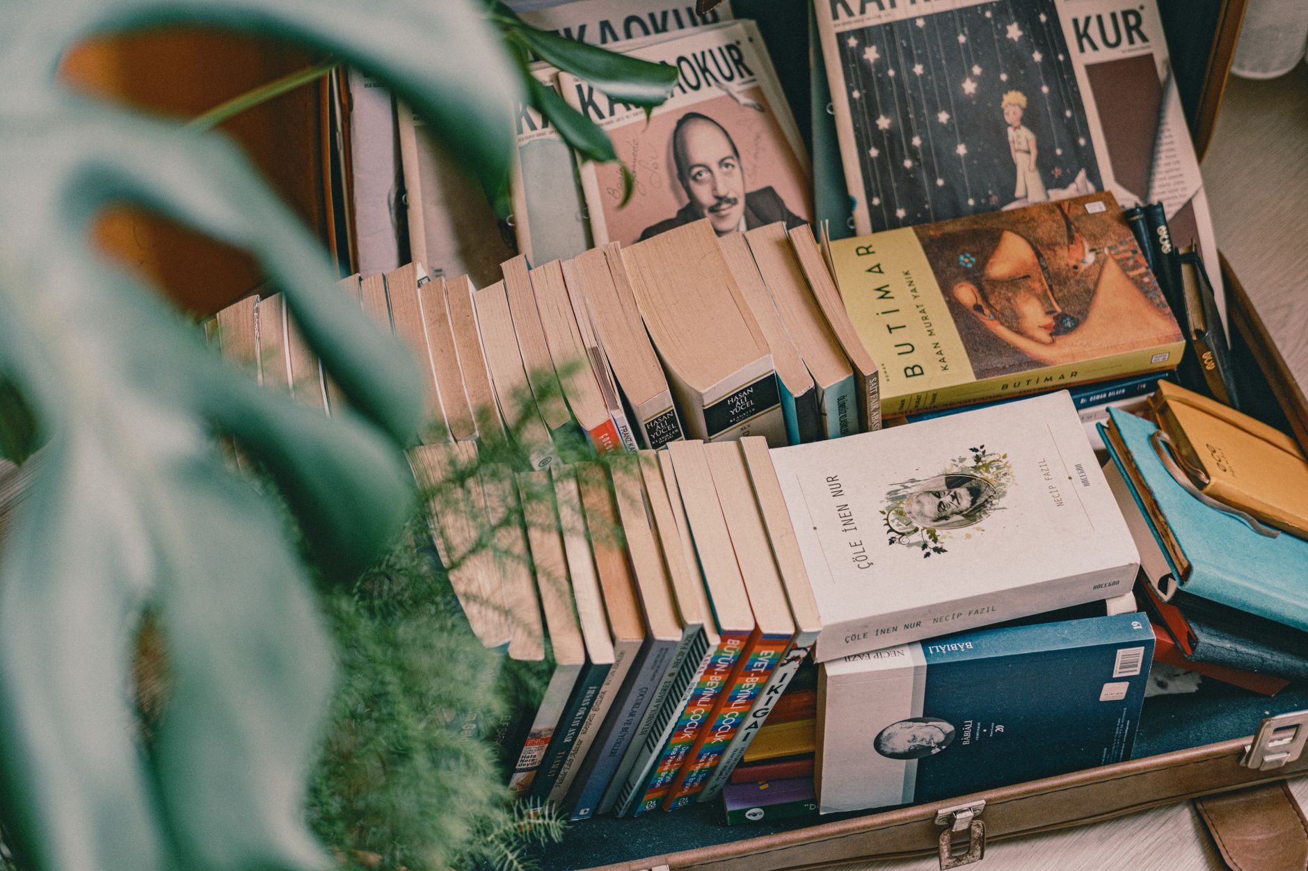Recenzie literară: Brățară pe glezna ta de Radu Paraschivescu, o explorare a distanței emoționale