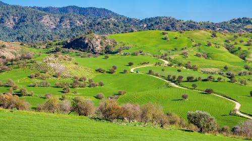 Foto d'estoc gratuïta de fons de pantalla, natura, paisatge verd