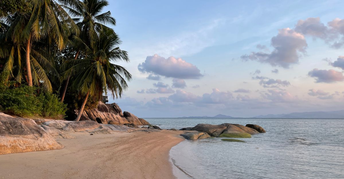 Peaceful tropical beach scene with palm trees, sand, and rocks under a blue sky.