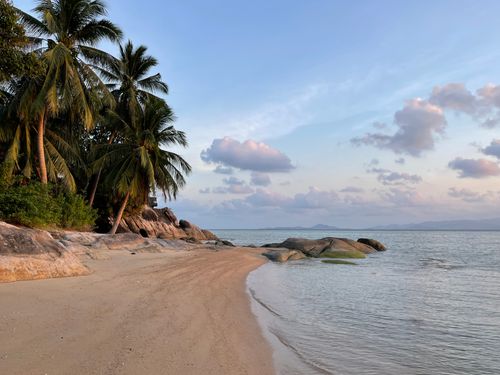 Free Peaceful tropical beach scene with palm trees, sand, and rocks under a blue sky. Stock Photo