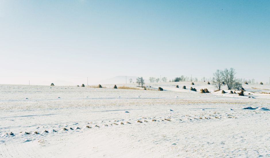 A serene winter scene of snow-covered fields and scattered haystacks in a rural countryside.