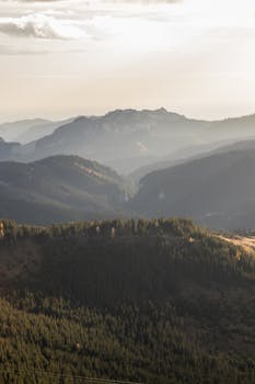A serene mountain landscape with expansive views and soft morning light casting over the forested hills.