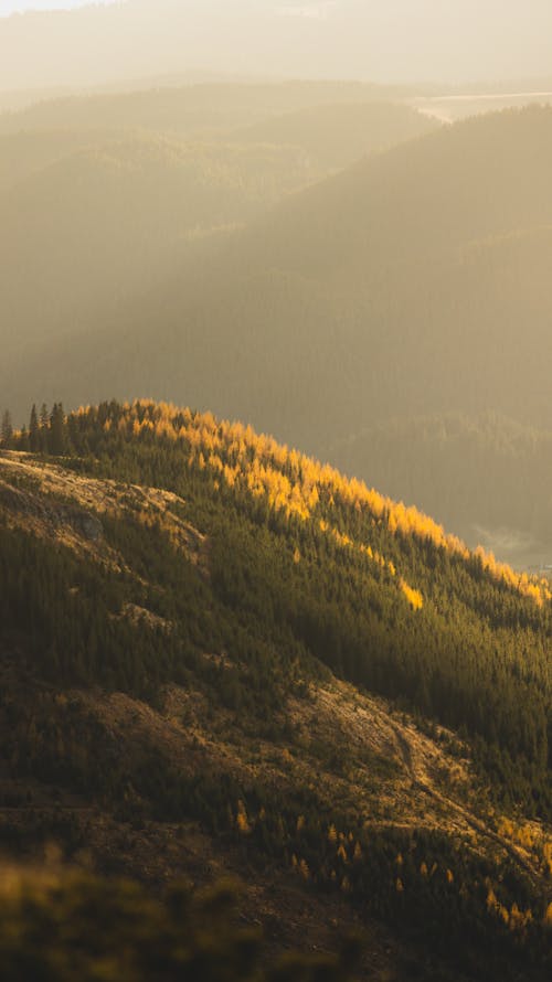 Fotobanka s bezplatnými fotkami na tému dedinský, kopce, krajina