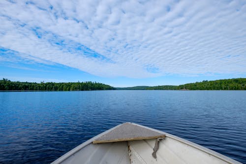 Gratis lagerfoto af båd, båd agterstavn, eventyr